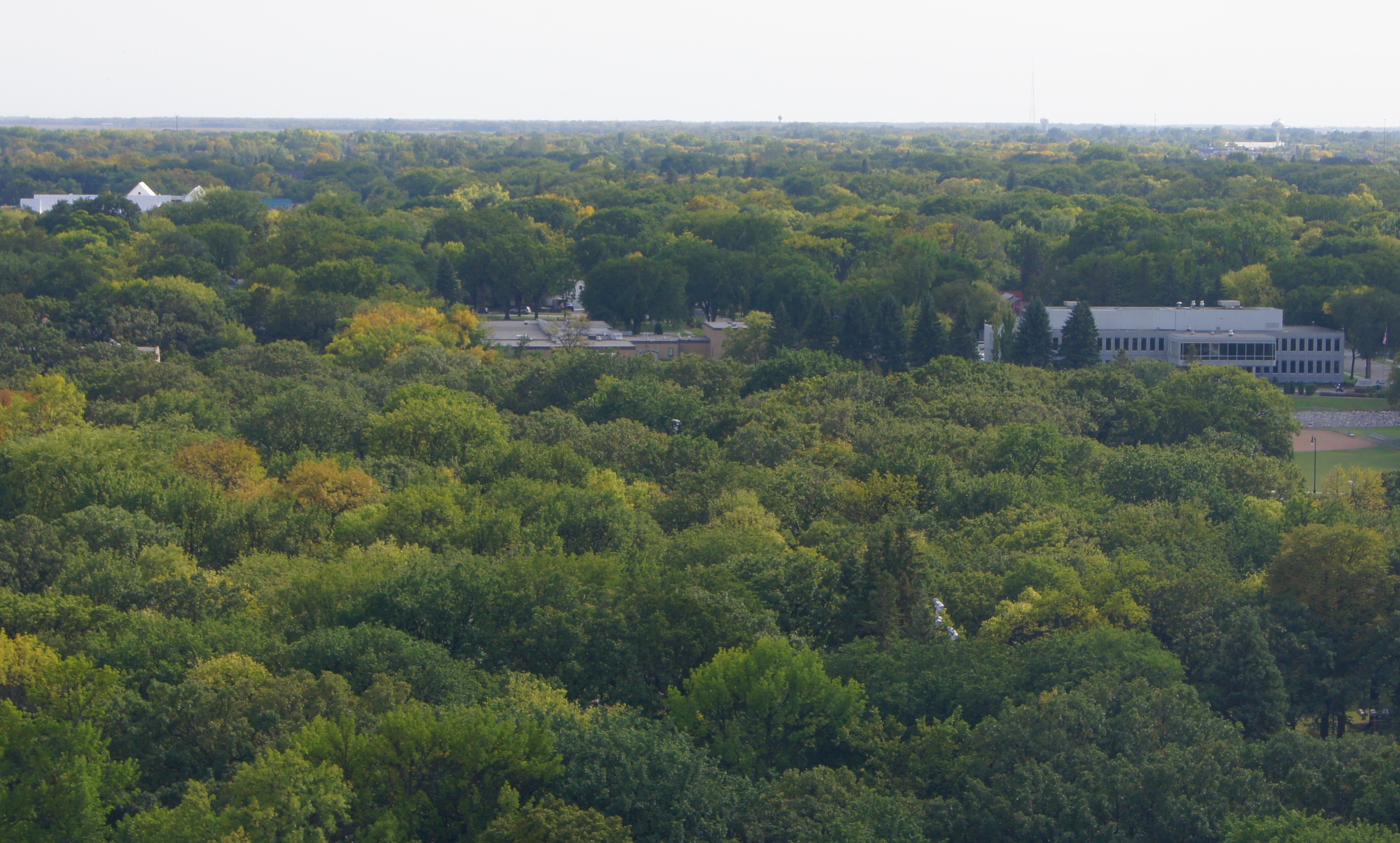 In it for long haul: When we plant trees, we’re investing in the future